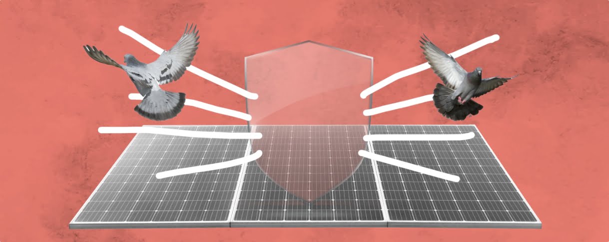 Barriera anti piccioni pannelli fotovoltaici