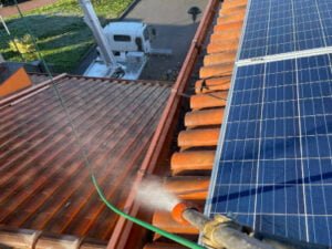 disinfestazione guano piccioni