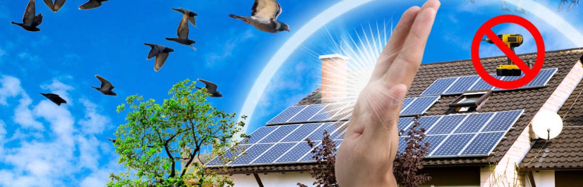 piccioni pannelli fotovoltaici solari qoc82c0b4be4zssir9l9ilrci31i0uwr8myu1e7vmg